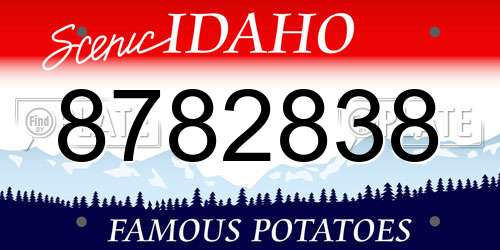 8782838 Idaho License Plate