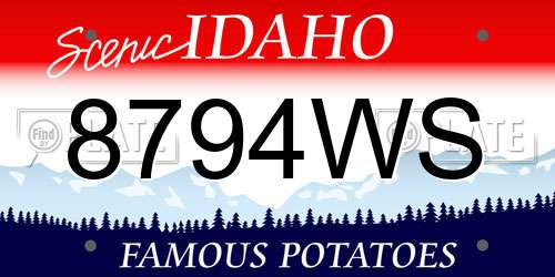 8794WS Idaho License Plate
