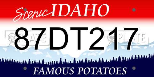 87DT217 Idaho License Plate