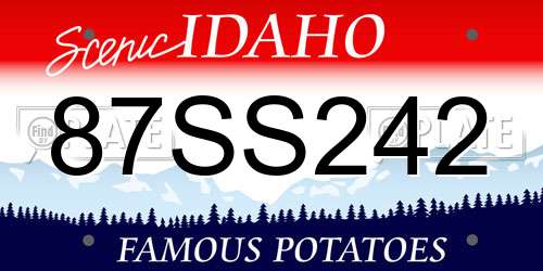 87SS242 Idaho License Plate