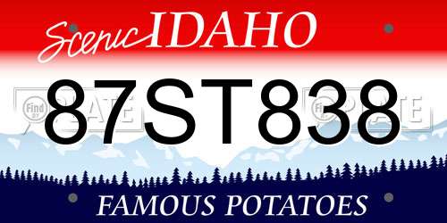 87ST838 Idaho License Plate