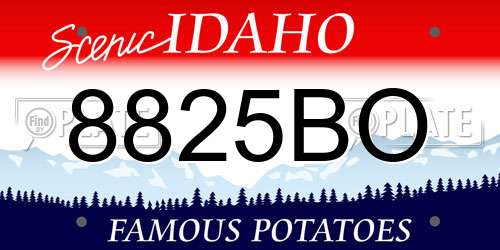 8825BO Idaho License Plate