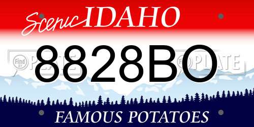 8828BO Idaho License Plate