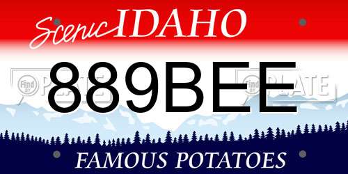 889BEE Idaho License Plate