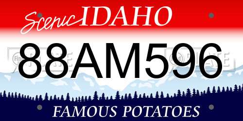 88AM596 Idaho License Plate