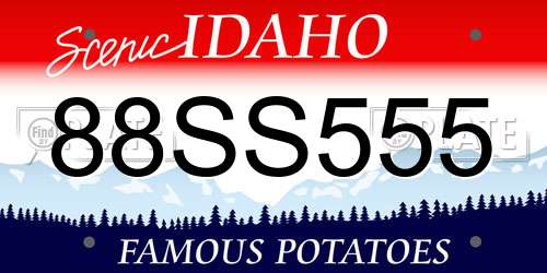 88SS555 Idaho License Plate