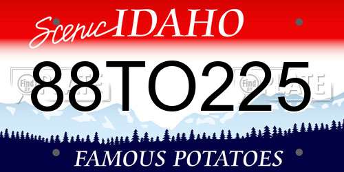 88TO225 Idaho License Plate