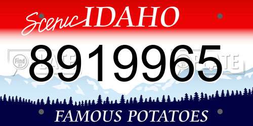8919965 Idaho License Plate