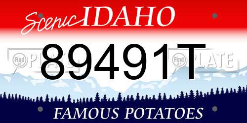 89491T Idaho License Plate
