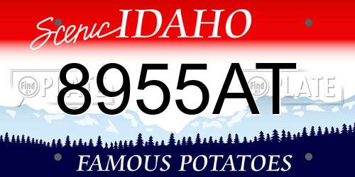 8955AT Idaho License Plate