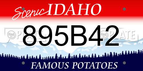 895B42 Idaho License Plate