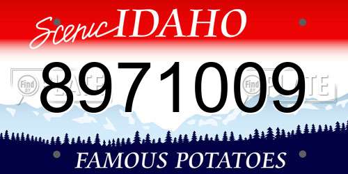 8971009 Idaho License Plate