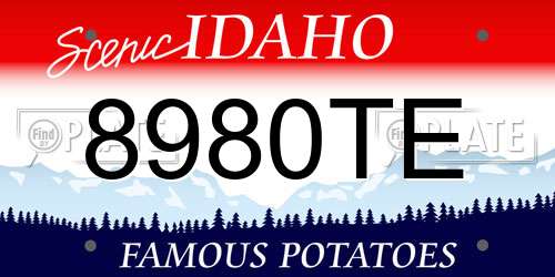 8980TE Idaho License Plate