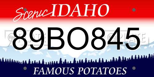 89BO845 Idaho License Plate