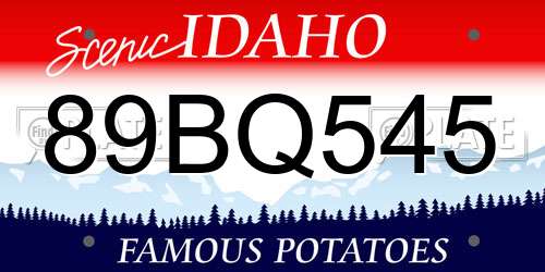 89BQ545 Idaho License Plate