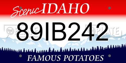 89IB242 Idaho License Plate