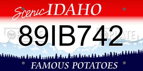 89IB742 Idaho License Plate