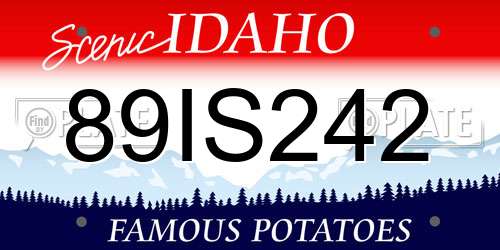 89IS242 Idaho License Plate
