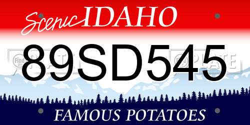 89SD545 Idaho License Plate