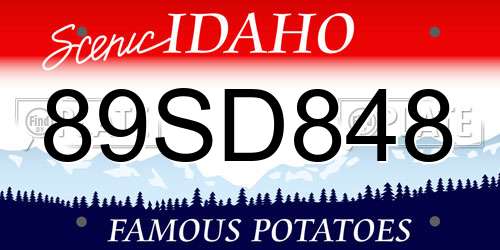 89SD848 Idaho License Plate