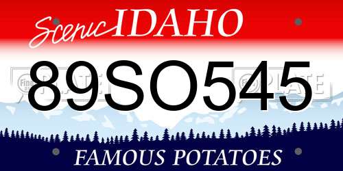 89SO545 Idaho License Plate