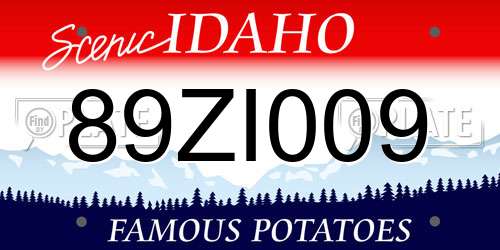 89ZI009 Idaho License Plate