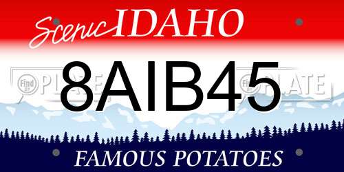8AIB45 Idaho License Plate