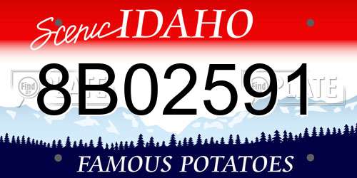 8B02591 Idaho License Plate