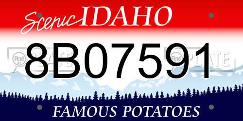 8B07591 Idaho License Plate