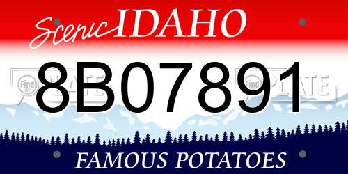 8B07891 Idaho License Plate