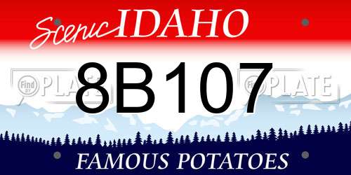 8B107 Idaho License Plate