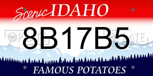 8B17B5 Idaho License Plate