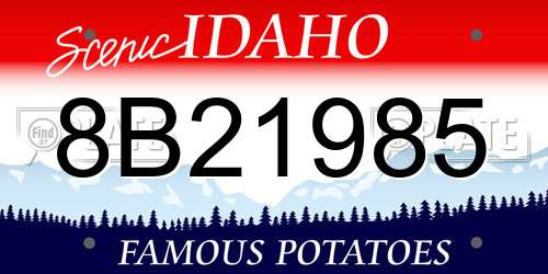 8B21985 Idaho License Plate