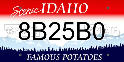 8B25B0 Idaho License Plate