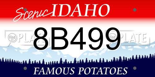 8B499 Idaho License Plate