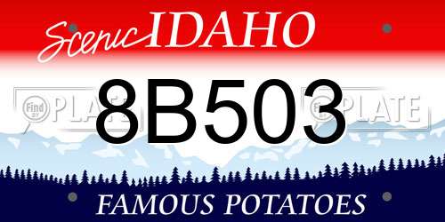 8B503 Idaho License Plate