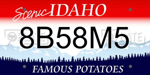 8B58M5 Idaho License Plate
