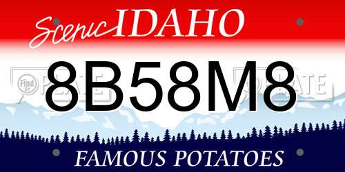 8B58M8 Idaho License Plate