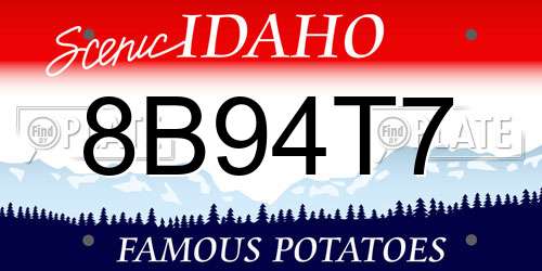 8B94T7 Idaho License Plate