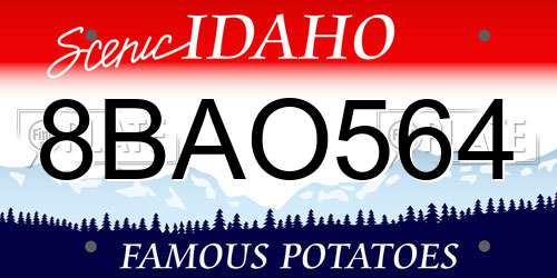 8BAO564 Idaho License Plate