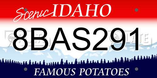 8BAS291 Idaho License Plate