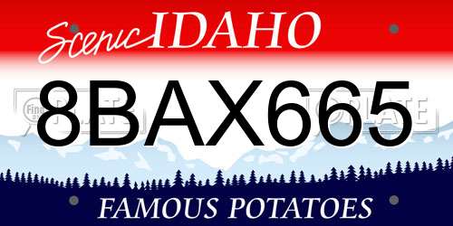 8BAX665 Idaho License Plate