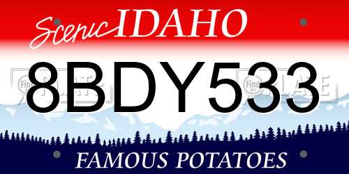 8BDY533 Idaho License Plate