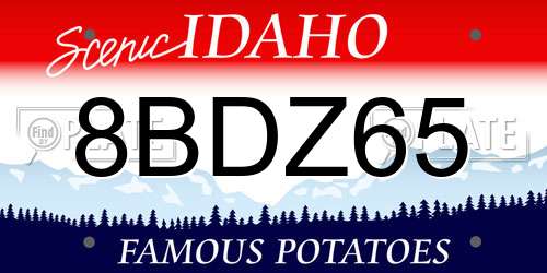 8BDZ65 Idaho License Plate
