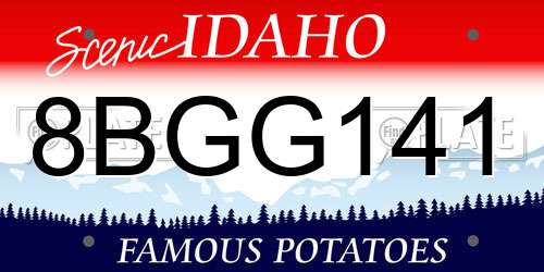 8BGG141 Idaho License Plate