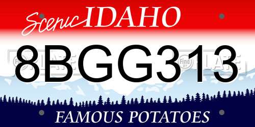 8BGG313 Idaho License Plate