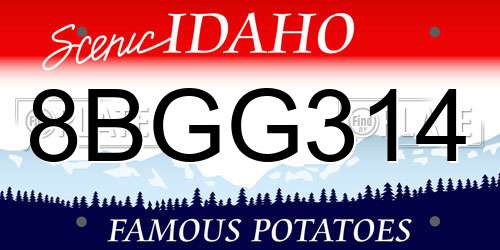 8BGG314 Idaho License Plate