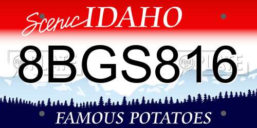 8BGS816 Idaho License Plate