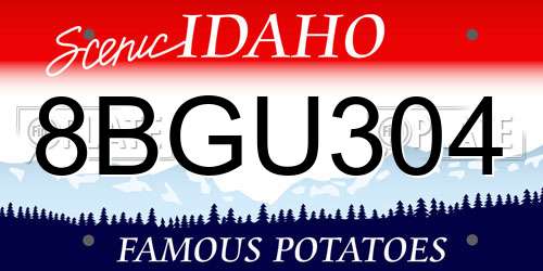 8BGU304 Idaho License Plate