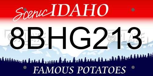 8BHG213 Idaho License Plate